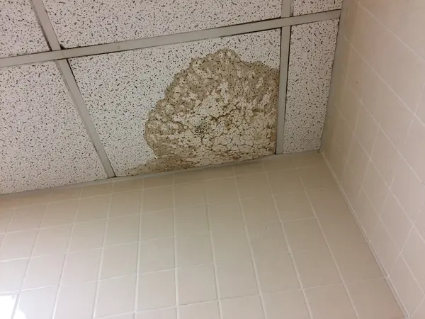 Water stain spreading across a ceiling from a leaking pipe above