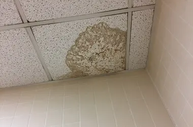 Water stain spreading across a ceiling