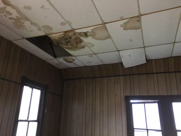 Stained and missing ceiling tiles from a roof leak