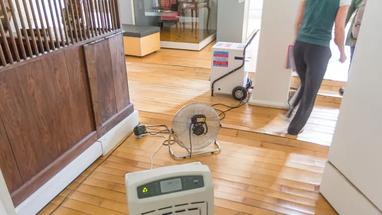 Air mover and dehumidifier drying a water-damaged room