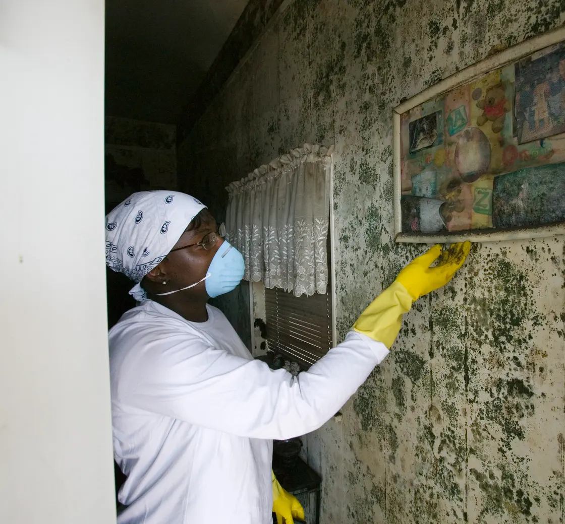 Worker in a mask and gloves cleaning mold from a water-damaged wall